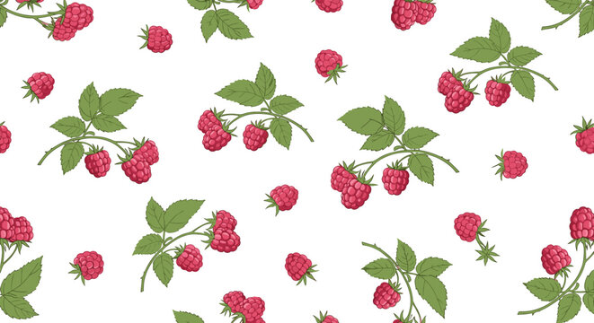 Seamless pattern featuring various branches and clusters of red raspberries with green leaves on a plain white background.