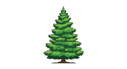 Obraz premium Vibrant green evergreen spruce tree illustration isolated on a plain white background for nature and forest designs.