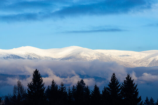 Winter landscape in Rila National Park Bulgaria