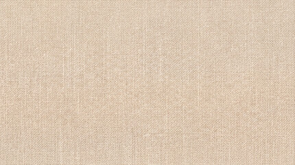 Fototapeta premium cardboard texture background