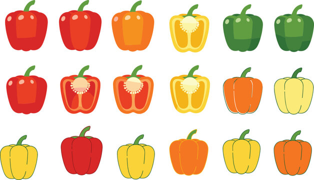 Bell pepper set with red, yellow, orange and green capsicum varieties, whole and cut vegetables collection, fresh food vector illustration