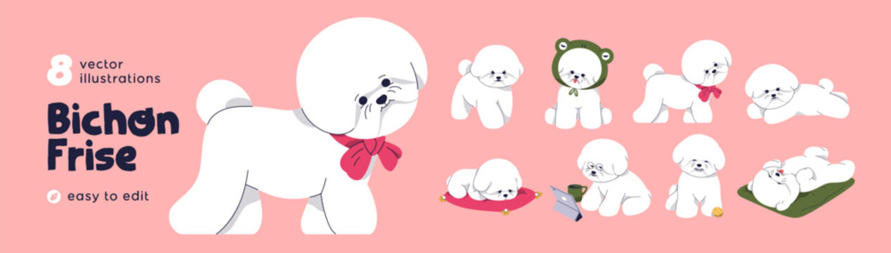 Cute fluffy puppy, toy dog of Bichon Frise breed. Set of baby canine animals, pets walk, play, sleep and relax. Funny little doggies activities. Happy sweet pup. Isolated flat vector illustrations