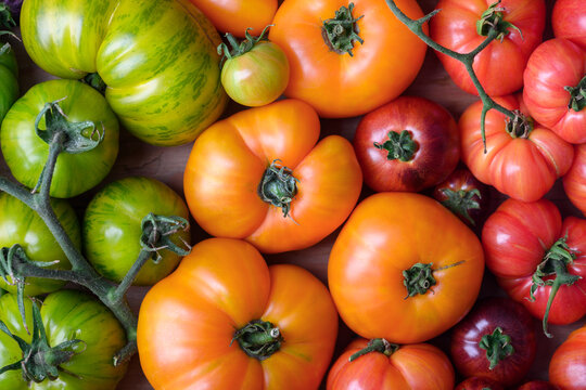 Assorted red, orange and green heirloom tomatoes tightly arranged. Colorful organic harvest, vibrant farm produce background
