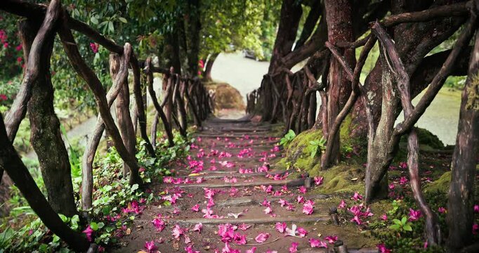 Scenic wooden stairs staircase taken along the path in a forest park covered with fallen pink and purple from the laurel in bloom Madeira, Portugal. Beautiful nature landscape during spring.