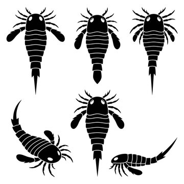 Black and white vector silhouette set of Eurypterus.