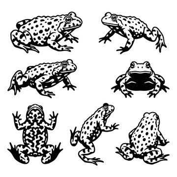 Black and white vector silhouette set of Fire-Bellied Toad