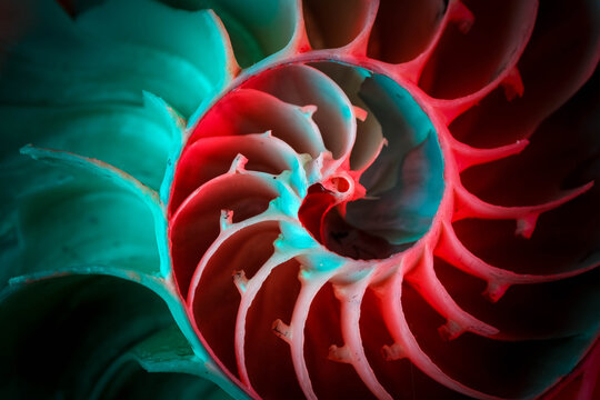 Abstract nautilus shell spiral with red and turquoise light