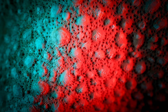 Colorful Macro Photography of Starfish Skin Surface Texture De