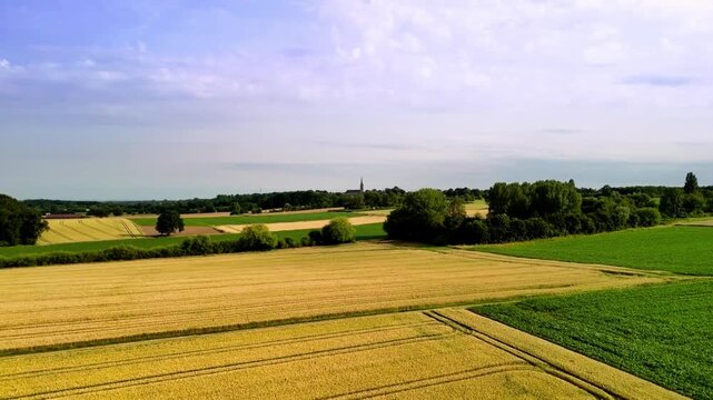 Panoramic harvest season landscape featuring yellow grain fields, lush trees, and rolling hills in the rural countryside.
