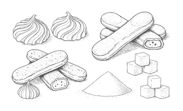Hand drawn meringues ladyfingers sugar cubes and sugar pile