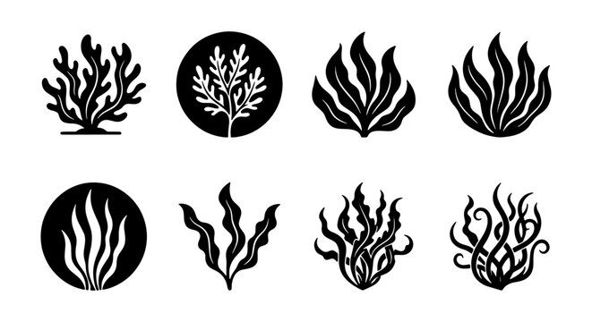 Marine Flora Vector Icons, Underwater Plant Silhouettes, Seaweed Graphics, Aquatic Vegetation Set
