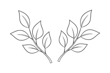 Two symmetrical dark grey outlines of leafy branches white © Mehedi