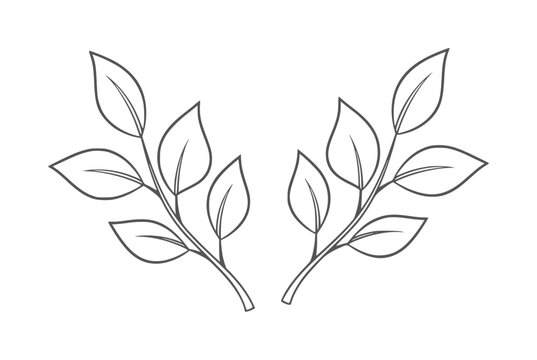 Two symmetrical dark grey outlines of leafy branches white