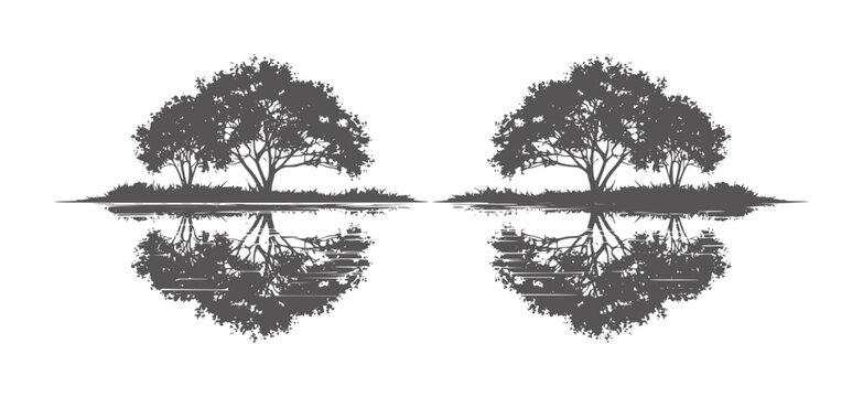 Two symmetrical dark gray trees reflected in water white reflection nature symmetry