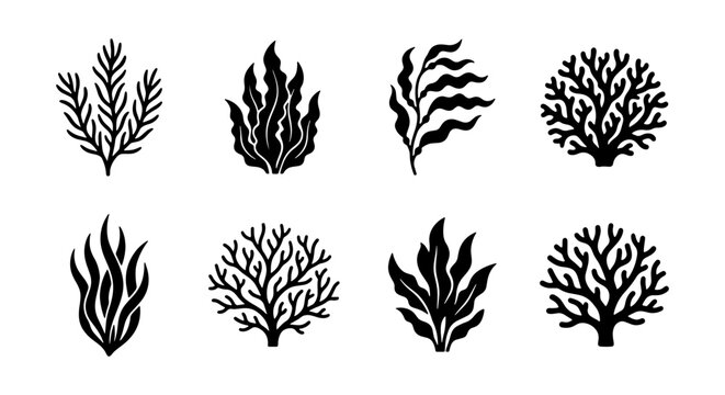 Ocean Plant Silhouettes, Seaweed Icons, Marine Flora Vector Graphics, Underwater Botanical Elements