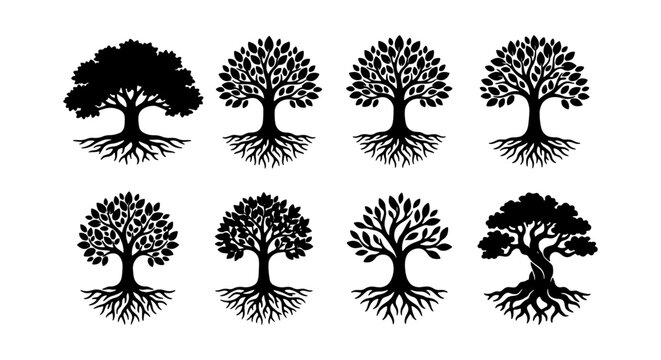 Tree of Life Vector Icons, Rooted Tree Silhouettes, Organic Growth Symbols, Nature Elements Set