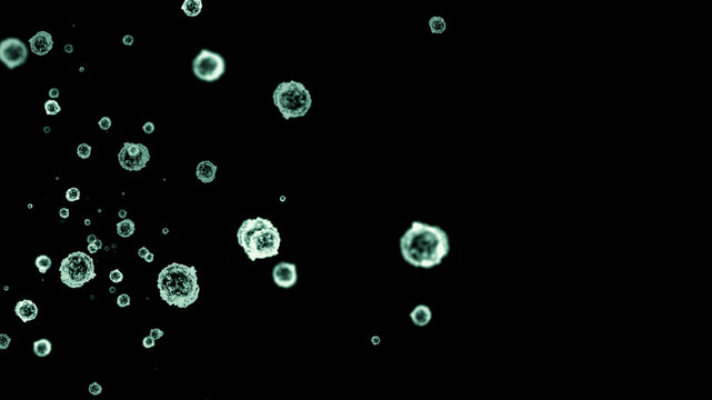 green bacteria virus cells under microscope isolated on black background medical science biology illness infection flu disease epidemic healthcare germ