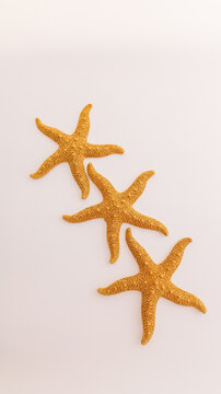 Three golden starfish arranged diagonally on a plain background