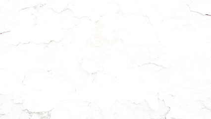 Fototapeta premium Light Gray Stucco Texture Background. Premium White Wallpaper with copy-space.