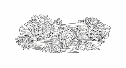 Naklejka premium Black and white illustration of coral-like underwater flora on submerged logs