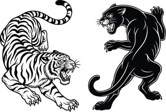Engraving style tiger and panther illustration