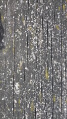 Obraz premium background and texture of old wood