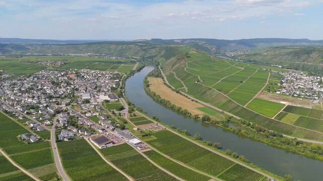Leiwen, Moselle Valley with loop of Mosel river, aerial view, riesling wine growing on vine, vineyard landscape and agriculture in Germany