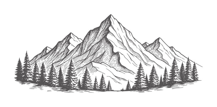 Hand drawn mountain range with pine trees in style mountains peak summit