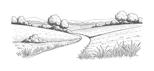 Obraz premium Hand drawn of rolling fields and trees with a winding path landscape hills