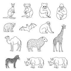Fototapeta premium Variety of animal line drawings.