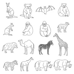 Fototapeta premium Variety of Wild Animal Species.