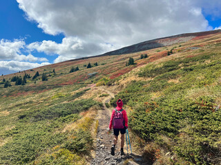 Fototapeta premium Active Mature woman walking or hiking outdoors