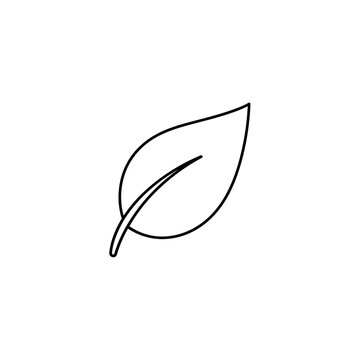 Simple Outline Drawing of a Single Leaf with Stem.