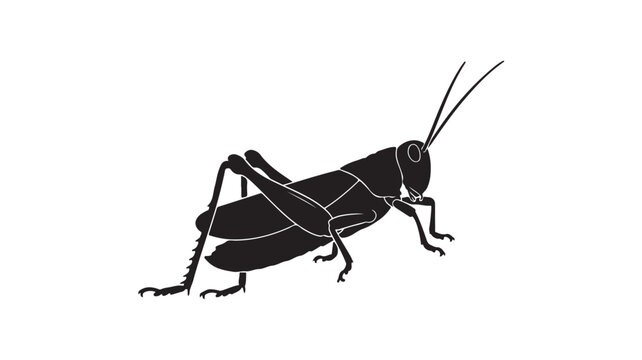 Black grasshopper silhouette vector illustration, minimalist insect icon on white background, cricket bug profile for nature and biology design