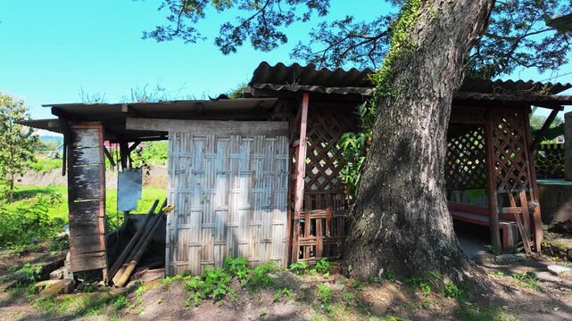 A rustic wooden structure nestled under a large tree surrounded by lush greenery and clear blue skies