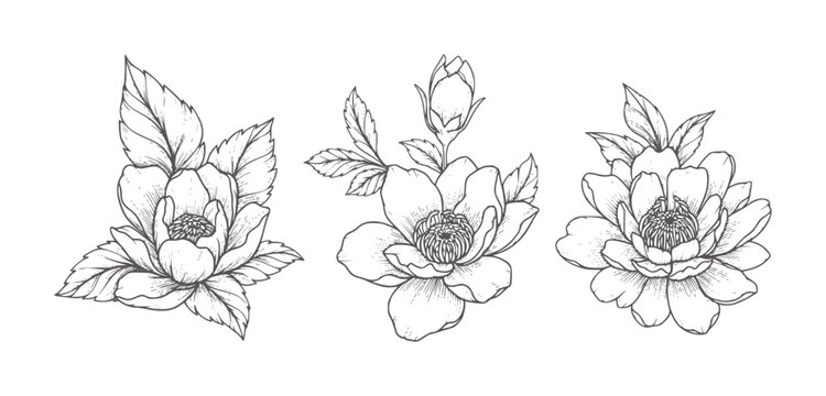 Three black ink floral with leaves and buds flower white