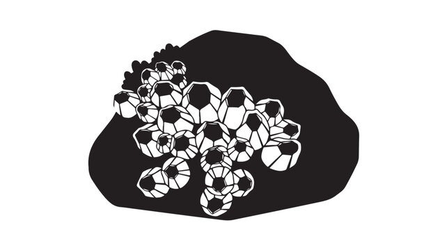 Minimalist barnacle cluster on rock vector, black and white marine life illustration, sea barnacles silhouette for coastal design and ocean biology
