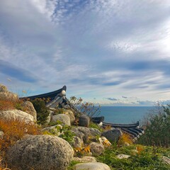 Naklejka premium Naksansa Temple Cliff and East Sea View, Korea Nature Landscape Coastal Landscape at Naksansa Temple, Ocean and Pine Trees, 낙산사 풍경 Beautiful Sea Cliff and Blue Sky at Naksansa, 강원도 바다 감성 Korean Coasta
