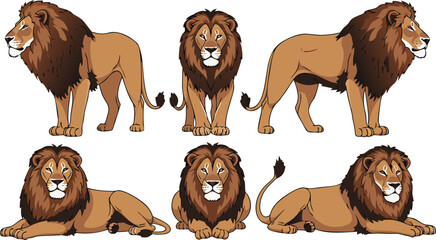 Lion illustration set with different poses including standing and resting, wild animal collection for wildlife design, safari themes, zoo graphics, and educational use © MdAbuSayed