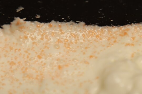 Food poisoning and food contamination concept shown in a macro shot of spoiled yogurt with Serratia marcescens bacteria and orange discoloration, highlighting unsafe dairy and hygiene failure.