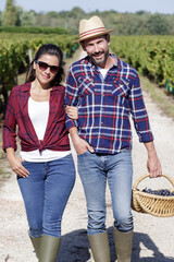 Naklejka premium beautiful couple walking through a vineyard