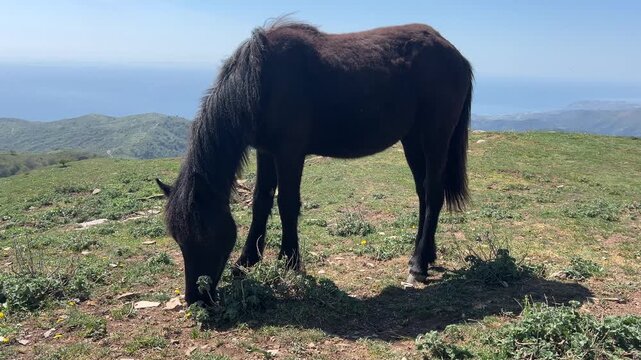 Italien bei Sanremo Ligurien im Fr&uuml;hling