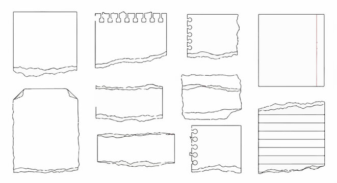 Collection of torn and perforated paper scraps, various shapes, some with spiral binding