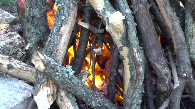 Close up of campfire burning. Burning logs, glowing embers, and hot orange flames creating a warm, hypnotic atmosphere.