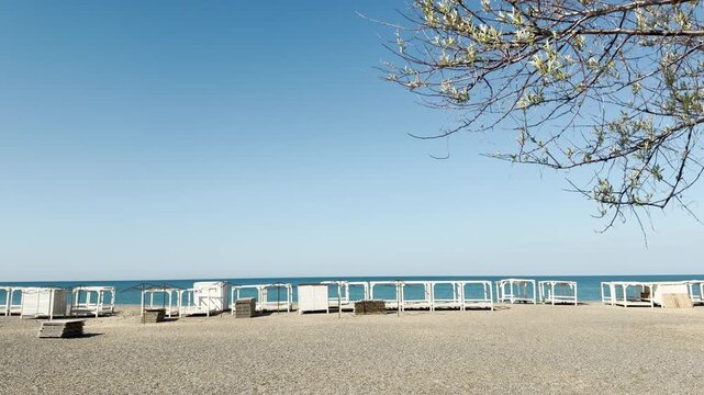 Delicate tree branches frame a row of empty white cabanas on a quiet pebble beach. The calm sea and bright sky create a peaceful, hopeful, and serene atmosphere.