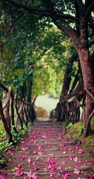 Scenic wooden stairs staircase taken along the path in a forest park covered with fallen pink and purple from the laurel in bloom Madeira, Portugal. Beautiful nature landscape during spring.