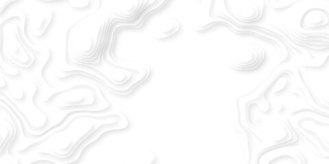 Abstract white paper cut background with lines. Background of the topographic map. White wave paper curved reliefs abstract background. Realistic papercut decoration textured with wavy layers. © armans