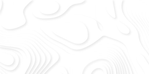 Abstract white paper cut background with lines. Background of the topographic map. White wave paper curved reliefs abstract background. Realistic papercut decoration textured with wavy layers. © armans