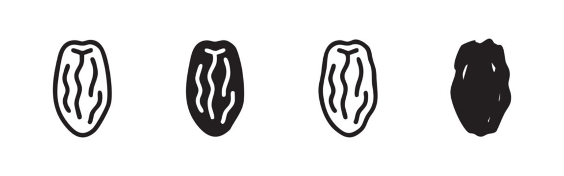 Dried date fruit icon set in four graphic styles for food and health projects