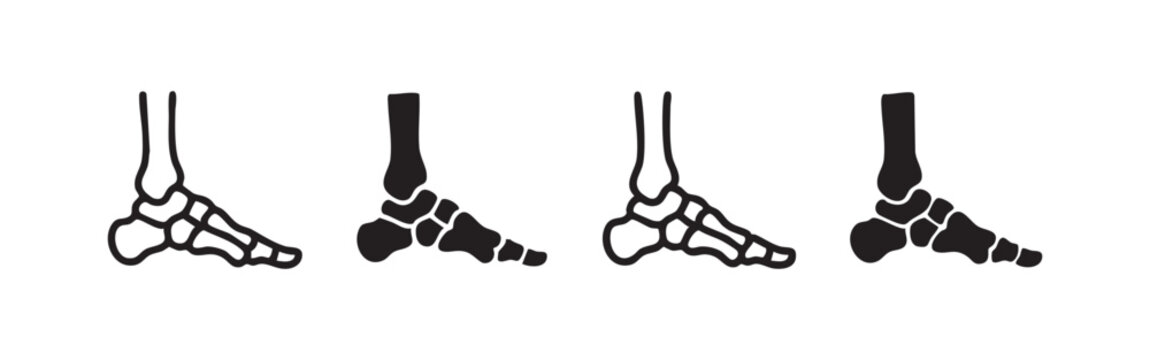 Human Foot Skeleton Icon Set - Bone Anatomy of Foot and Ankle in Different Design Styles